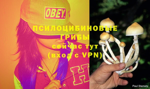 гидропоника Алексин